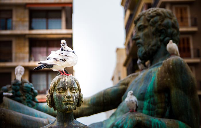 Monument dégradé par des fientes de pigeons
